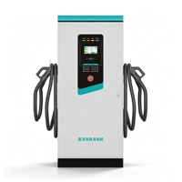 Station de recharge rapide DC double prise, chargeur rapide pour véhicules électriques pour centrales photovoltaïques avec écran tactile, lecteur de carte, IP54, utilisation en zone de stationnement