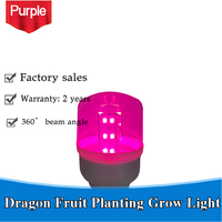 Vietnam 'S Meest Populaire Pitaya-Plantengroei Vult Lichte Drakenfruitboerderij Speciale Lichten