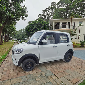 Prix d'usine direct EEC SUV électrique 4 portes chinois aux nouvelles énergies de haute qualité Meilleur choix pour une mobilité durable - Product Image 5