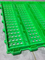 Nouvelle plaque d'élevage en plastique PP 100*50*5cm verte pour les fermes de moutons et de porcs, outil d'élevage, garantie 1 an, 2,75 kg, revêtement de sol