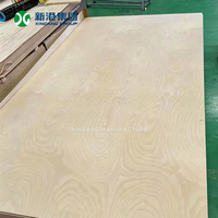 Contrachapado de Abedul Estructural de Alta Resistencia, Tablero de Madera Impermeable con Pegamento WBP para Uso Industrial