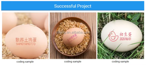 Machine de codage d'œufs à bas <span class=keywords><strong>prix</strong></span> d'usine, <span class=keywords><strong>prix</strong></span> Chine, machine d'impression de codes d'œufs, cartouche d'impression de codes d'œufs - Product Image 6