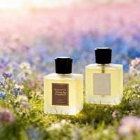 Ensemble de diffuseurs de parfum d'ambiance haut de gamme, diffuseur de parfum d'intérieur de luxe avec bâtonnets naturels pour la décoration intérieure moderne