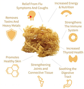 مشروب طحالب البحر العضوية الجديد، مكمل غذائي لتعزيز جهاز المناعة، عبوة تكفي لمدة 30 يومًا، أكياس هلامية نباتية - Product Image 6