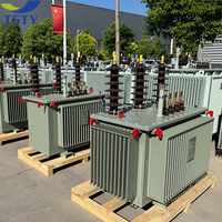 Transformateur refroidi à l'huile TSTY 11KV 33kV 400V 415V 630KVA 1000KVA 1250KVA pour environnements à forte humidité et haute altitude