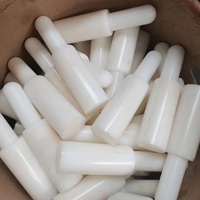 Poulies en plastique industrielles personnalisées Nuoshi, pièces de transmission de puissance, moules de moulage, poulies en nylon Ertalon avec couleur personnalisée