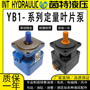 ปั๊มไฮดรอลิกแบบใบพัด YB1 6 10 16 4 20 25 40 50 80 แบบขั้นตอนเดียว ปริมาณคงที่ สำหรับเครื่องฉีดพลาสติก ปั๊มน้ำมัน - Product Image 5