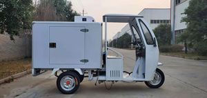 Xăng/Điện 3 Bánh Xe Tủ Lạnh Ba Bánh Với DC Điện Lạnh Chuỗi Hộp Tủ Lạnh Hộp - Product Image 4