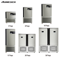 Aumesch 5 8 10 15 20 30 Plateaux Congélateur à pression enfichable-40 °C Congélation rapide Dégivrage automatique pour la viande Fruits de mer Fruits Utilisation commerciale