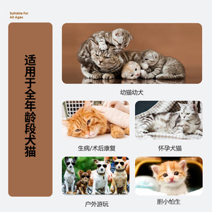 Pet Wet Wipes 100 Pcs Deep Cleaning For <b>Dog</b> And Cat <b>Bathing</b> Supplies Non Woven Fabric Massage Brush Set - Product Image 2