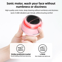 Chine Meilleure vente haute fréquence 10-en-1 microcourant E M S dispositif facial usage domestique Ipx6 étanche 3D brosse sonique visage