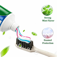 Vente en gros fabricant : Dentifrice à la menthe 100g – Nettoie en profondeur et protège les gencives pour l'Amérique latine