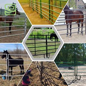 高品質で頑丈な亜鉛メッキの畜舎パネル（牛、馬、羊用） - Product Image 4