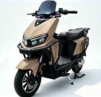 YT Commercial Delivery Electric Motorbike Full Crash Guard Rear Cargo Rack 200kg Max Load 50-60km Range 60V/72V 1000-2000W Dual