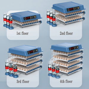 Incubadora Casera Pequeña de Doble Potencia con Pantalla de Temperatura y Humedad y Volteo Automático de Huevos. - Product Image 5