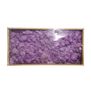 Y irlandesa de pared decorativo musgos panel césped <span class=keywords><strong>artificial</strong></span> moss - Product Image 4