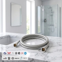 Tuyau flexible de plomberie de cuisine moderne en PVC PPW avec gaine en acier tressé DN10 10 BAR 85, garantie 5 ans