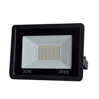 Projecteur LED AC ultra-plat 30W étanche IP66, température de couleur 6000K, lumière du jour, puce SMD, construction en aluminium pour jardin