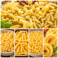 Machine à extruder les pâtes multifonctionnelle, machine à pâtes électrique automatique pour la fabrication de macaronis, de spaghetti et de pâtes italiennes