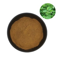 Extrait naturel de Desmodium Styracifolium en poudre 10:1, extraction par solvant, emballage en fût de 1 kg pour produits de santé