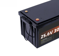 Batterie LiFePO4 personnalisée en stock UE 24V 25.6V 12.8V 100Ah 200Ah 300Ah 400Ah avec BMS, batterie solaire lithium-ion à décharge profonde