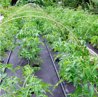 Perforé tissé PP PE aménagement paysager tissu rouleau agricole mauvaises herbes barrières tapis en plastique couverture du sol