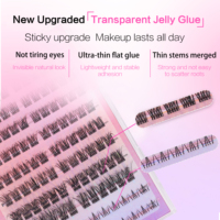Kit d'assortiment de clusters de cils de styles variés, comprenant des cils effilés/volumineux/délicats avec des cils inférieurs, OEM disponible