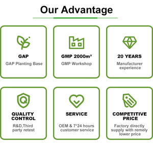 Fabrika tedarikçisi yüksek kalite gotu kola ekstresi <span class=keywords><strong>Asiaticoside</strong></span> <span class=keywords><strong>90</strong></span>% - Product Image 6