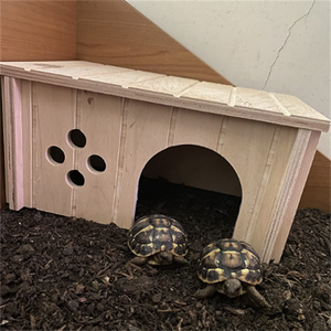 Küçük hayvanlar evcil ahşap ev özel ahşap gine domuz kafesi ev - Product Image 2