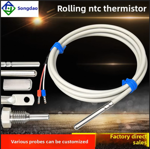 مجس من الفولاذ المقاوم للصدأ بسلك 2 مستشعر Pt100 المرن مستشعر درجة حرارة الثرمستور NTC ، رقاقة عالية الجودة - Product Image 2