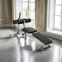 Banc de musculation inclinable ROSEN robuste pour salle de sport commerciale, entraînement de la partie inférieure du torse