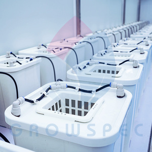 Aeroponic phát triển hệ thống cho nông nghiệp nhà kính vận chuyển container trang trại từ phát triển cơ sở - Product Image 6