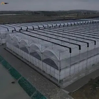 Film de serre diffuseur de lumière à 7 couches sur mesure, résistant aux UV, anti-goutte, en plastique agricole pour la culture des cultures