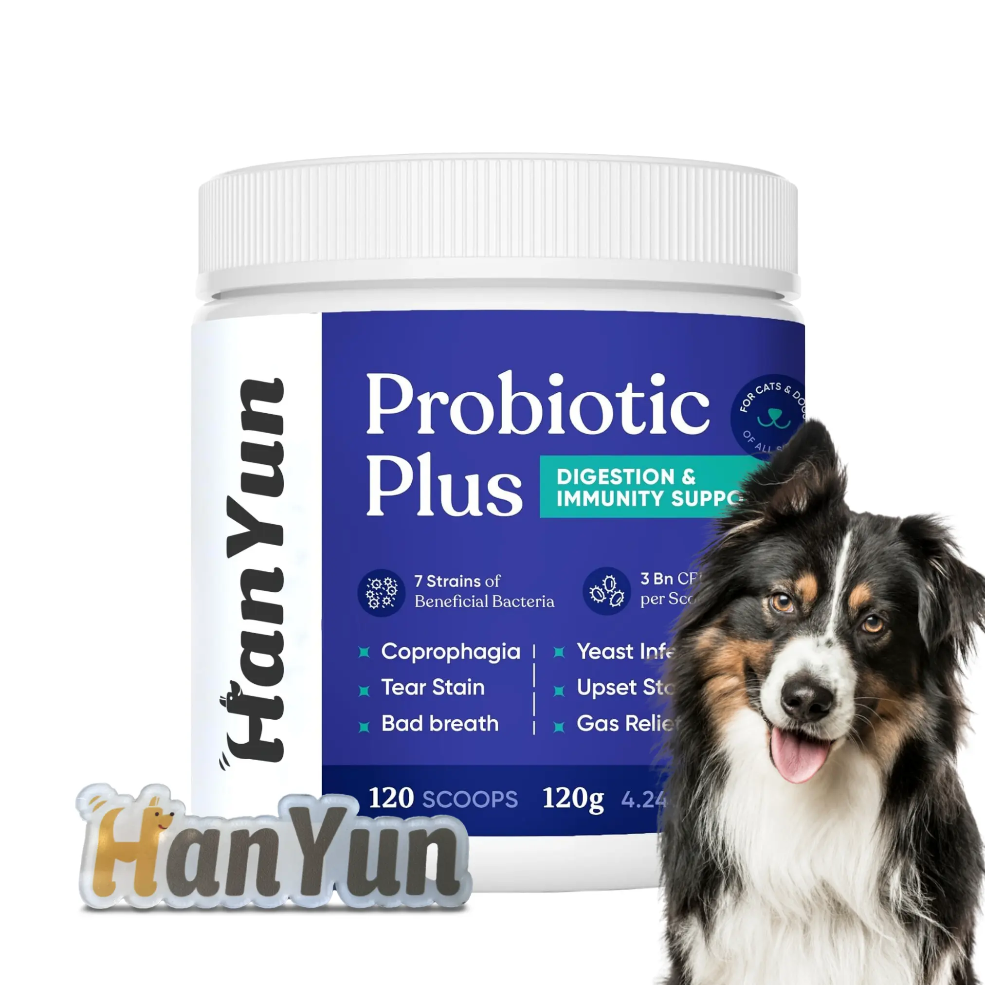 La poudre probiotique soutient les estomacs sensibles-Enzyme digestive et santé de la flore intestinale avec citrouille pour supplément pour chien de compagnie