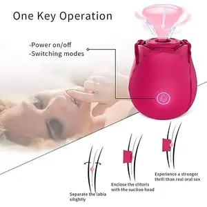 HMJ Großhandel Nippel-Klitoris-Saugen persönlicher Massage-Erwachsenen-Weibchen-Spielzeug für Damen Sex Erwachsene Rose-Vibrator