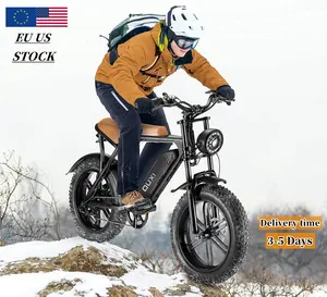 OUXI V8 fatbike 전기 오토바이 오프로드 도시 ebike 20 인치 먼지 ebike 전기 자전거 250W