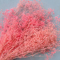 Bunga Kering Awetan Small Million Dream Star Mini Gypsophila untuk Dekorasi Buket Pernikahan, Hari Valentine, Wisuda, dan Rumah