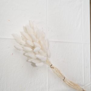M714 <span class=keywords><strong>bouquet</strong></span> décoratif longue durée 60 <span class=keywords><strong>fleurs</strong></span> séchées naturelles queue <span class=keywords><strong>de</strong></span> lapin Bouquets d'herbe avec sac Opp - Product Image 3