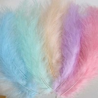 Plumes de confection de mouches, 20 couleurs disponibles, 100 pièces par sac