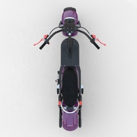 Le meilleur Cityco en Allemagne avec une autonomie de 120 km et un scooter électrique à pneus larges de 12 pouces avec certificat EEC/COC