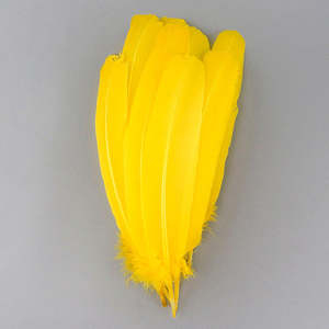 Commercio all'ingrosso 10-12 pollici colori tinti bianchi turchia tondi ala <span class=keywords><strong>piume</strong></span> d'oca <span class=keywords><strong>di</strong></span> tacchino per Bouquet maschera floreale tiare costumi - Product Image 2