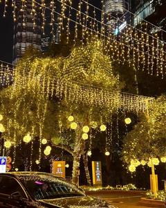 Guirlandes lumineuses extérieures pour la façade des hôtels et l'éclairage paysager urbain - Product Image 1