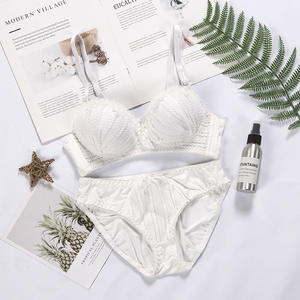 Set Bra dan Celana Dalam Seksi Bergaya Desain Baru Lingerie Kupu-Kupu dengan Dekorasi Renda Berlubang dan Pita 2 Potong Bra Celana Dalam Grosir - Product Image 6