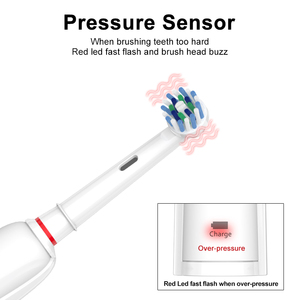 ODM OEM <strong>Pressure</strong> <strong>Sensor</strong> Oral IPX7 Waterproof Rechargeable Rotary <strong>Electric</strong> <strong>Toothbrush</strong> Automatic <strong>Electric</strong> Rotating <strong>Toothbrush</strong> - Product Image 3