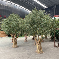 Grand Olivier Artificiel à Tronc en Bois Naturel, Arbre Artificiel Ancien Haute Fidélité pour Projet d'Aéroport