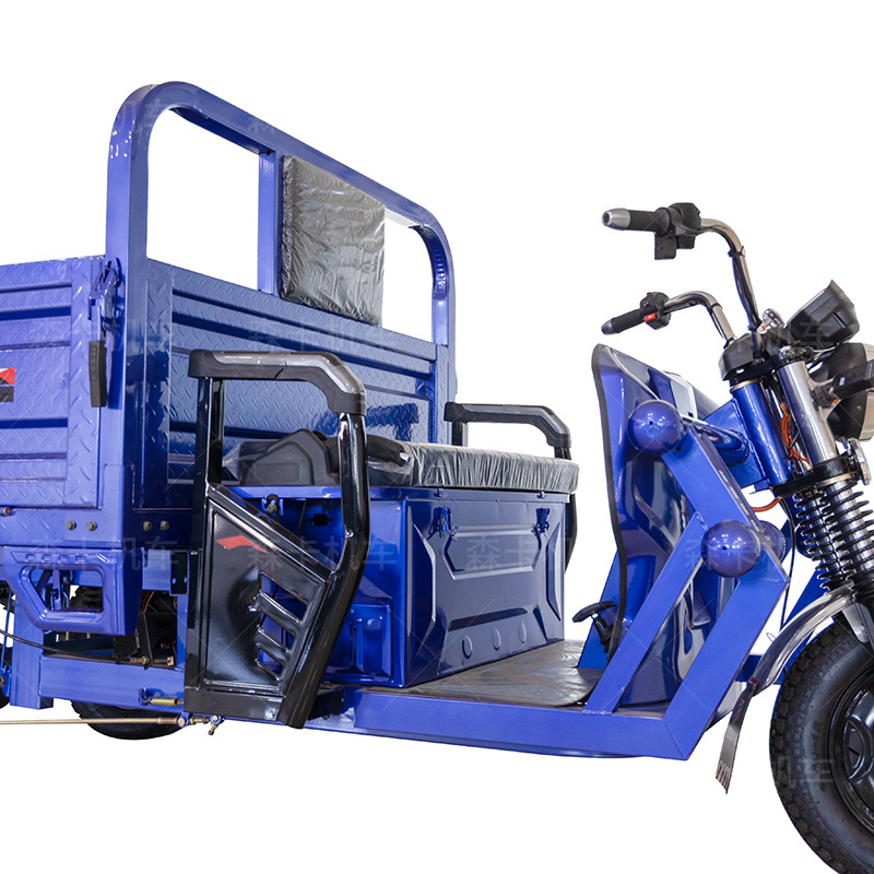 3 wheel trike tuktuk electric bike   e rickshaw  Adult electric tricycle  motorized tricycles tuk tuk car electric trike scooter
