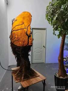 Lumières décoratives à motif de fèves de chia pour les parcs touristiques culturels et les paysages urbains - Product Image 1