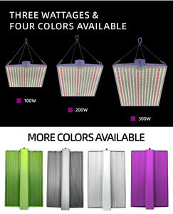 100W 200W 300W 2 x2ft 3 x3ft <span class=keywords><strong>SAMSUNG</strong></span> LM301H EVO Full Spectrum Indoor Plant <span class=keywords><strong>LED</strong></span> Grow Light pannelli - Product Image 5