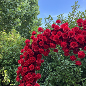 Decorazione all'ingrosso di fiori artificiali personalizzati in fabbrica rosa a forma di cuore arco di fiori per decorazione di sfondo di nozze - Product Image 6