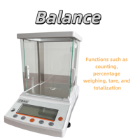 Balance analytique magnétique de haute précision, capacité 0,0001 g, calibrage externe, micro-balance analytique